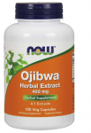 NOW FOODS Ojibwa 450 mg 4:1 ekstrakt (180 kapslit)