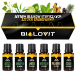 Biloviti eeterlike &otilde;lide komplekt - The Art of Suning