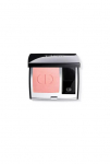 Dior Long-Wear Powder Blush Hologramm 6,7g