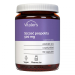 Vitalers - Hapuoblikas 500 mg 60 kapslit
