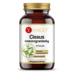 YANGO Cissus quadriplegia - 10:1 ekstrakt (90 kapslit).