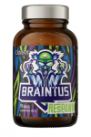 OSTROVIT Braintus Respawn (90 kapslit)