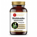 YANGO Brodzia - Andrographis (90 kapslit).