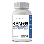Evogen KSM-66 ashwagandha - 60 kapslit