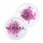 Neonail 10598 Lillekaunistus Purple 01 2g