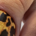 Pedik&uuml;&uuml;ri kiled WB-970