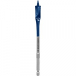 Puidupuur BOSCH Expert &Oslash;12x152mm