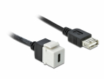 Keystone moodul: USB 2.0 C - USB 2.0A F / F, valge