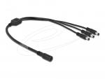 DC Splitter 5.5 x 2.1 mm 1 x female - 3 x male, 0.5m
