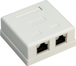 Seinakarp 2-le RJ45 Cat6 STP pesale, valge, pinnapealne