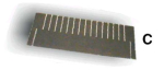 PACKING - CELL DIVIDER type C20 552mm length, 200mm height, 31mm pitch, 17 slits