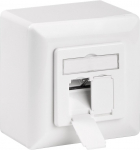 Seinakarp 2-le RJ45 Cat6 pesale, varjestatud, seinapealne, valge