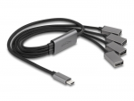 USB-C hub: 4x USB 2.0-A (F), 0.60m kaablitega