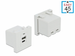Easy 45 moodul: 1x USB-A 1x USB-C laadimispesa