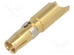 Toitekontakt 40A pesa AWG8-10, solder cup, Class C, Gold