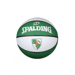 KORVPALLI PALL SPALDING (ŽALGIRIS)