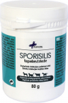 Ruvera Sporisilis salv (abi naha seeninfektsiooni vastu) 80 g