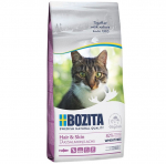 Bozita Wheat Free Hair & Skin Salmon 10kg - Nisujahu vaba l&otilde;hega kassidele, karvadele ja nahale