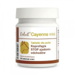 Toidulisand koertele Dolvit Cayenne mini 60 tab - tabletid v&auml;ljaheidete s&ouml;&ouml;mise vastu