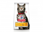 HILL'S CAT URINARY HEALTH CHICKEN 300 g - kuivtoit kana kuseelundkonna tervisele t&auml;iskasvanud kassidele
