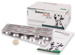 Dehinel Plus Flavour tabletid koerte usside vastu 1gb