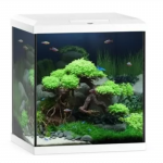 Juwel Vio Cube 54 LED Valge 54L - komplekteeritud akvaarium