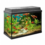 Juwel Primo 70 LED Black 70L - komplekteeritud akvaarium