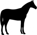 Bimeda Bimectin pasta 18,7 mg/g 6,42 g*