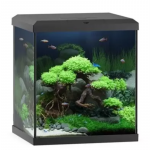 Juwel Vio Cube 54 LED Black 54L - komplekteeritud akvaarium