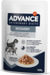 ADVANCE VETERINARY DIETS DOG & CAT RECOVERY 100gr - t&auml;isv&auml;&auml;rtuslik dieettoit, konservid koertele ja kassidele taastumisprotsessis.