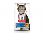 HILL'S CAT ORAL CARE CHICKEN 1.5kg - KUIVTOIT T&Auml;ISKASVANUD KASSIDELE KANALIHA