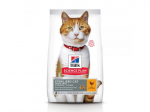 HILL'S CAT JUNIOR STERILISED CHICKEN 1.5 kg - kuivtoit steriliseeritud kassipoegadele kanaga
