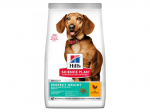 HILL'S DOG ADULT PERFECT WEIGHT MINI CHICKEN 250 g - kuivtoit kanaga v&auml;ikeste t&otilde;ugude t&auml;iskasvanud koertele