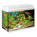 Juwel Primo 70 LED White 70L - komplekteeritud akvaarium