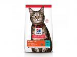 HILL'S CAT ADULT TUNA 3KG - kuivtoit tuunikalaga t&auml;iskasvanud kassidele