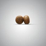 Josera Petfood Josera SP koertele YoungStar 900 g