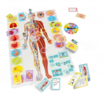 Let&acute;s learn Our Amazing Body (60549)