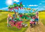 Playmobil - Starter Pack Vegetable Garden (71380)