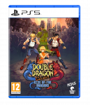 Double Dragon Gaiden: Rise of the Dragons