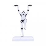 Stormtrooper Crane Kick