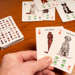 Kikkerland - Paws & Play Playing Cards - (GG274)