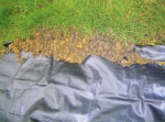 Peenrakangas Garden H1107 2,1x100 m, 100 g/m2, kootud, must