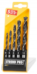 Strend Pro WD071 puurikomplekt, 5 tk, 4-10 mm, puit, puidu jaoks
