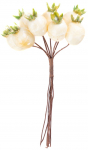 J&otilde;uluoks MagicHome Christmas, nooled, valge, 13 cm