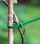 Aialips HG6171-A, 120 mm, pakend 80 tk, roheline