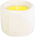 Citronella k&uuml;&uuml;nal, tsement, 85 g, repellent, 90x75 mm