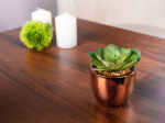 Succulent MagicHome S34042, 15 cm, pott - tsement, kuldne, kunst