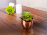 Succulent MagicHome S34040, 12 cm, pott - tsement, kuldne, kunst