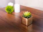Succulent MagicHome SA3905, 15 cm, pott - keraamiline, kuldne, kunst