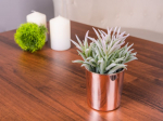 Succulent MagicHome S31274, 16 cm, pott - keraamiline, kuldne, kunst